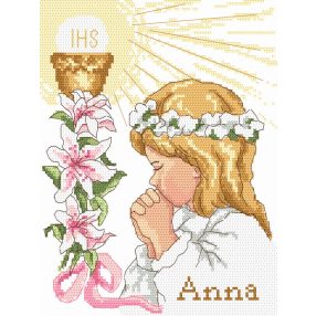 ZN8395 First Holy Communion 17x22 cm