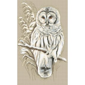 ZN8396 Owl 21x35 cm
