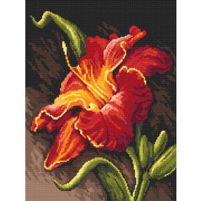 ZN8346 Charming lily 25x33 cm