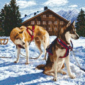 ZN8550 Resting on the way 30x30 cm