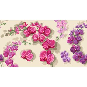 ZN8552 Orchids 39x21 cm