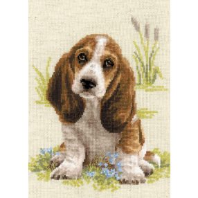 1578 Basset Hound Puppy 26x38 cm