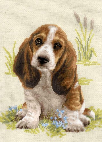 1578 Basset Hound 26x38 cm