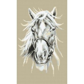 10009 White horse 26x43 cm