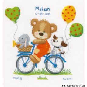 PN-0156359 Cycling bear 27x29 cm