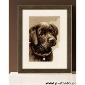 PN-0158080 Labrador 24x31 cm