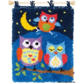 PN-0154926 Baglyok az éjszakában 43x54 cm