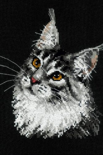 1599 Maine Coon 21x30 cm