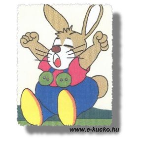 2017 Nyuszi 20x25 cm