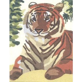 2047 Tigris 20x25 cm