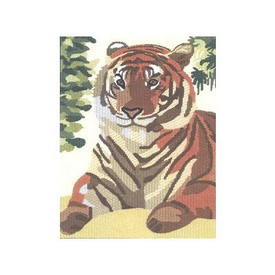 2047 Tigris 20x25 cm