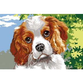 928-342 Gyengéd nézés 30x40 cm