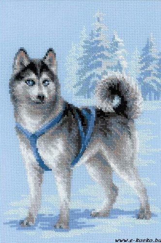 1626 Husky 26x38 cm