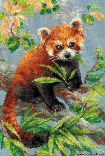 1627 Vörös Panda 21x30 cm