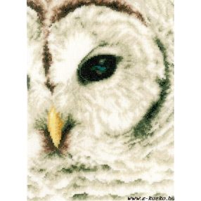 PN-0163781 Owl 19x26 cm