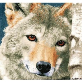 PN-0166758 Farkas 35x35 cm