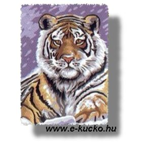 107 112 Tigris 22.5x30 cm