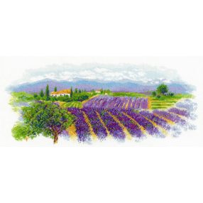 1690 Blooming Provence 55x25 cm