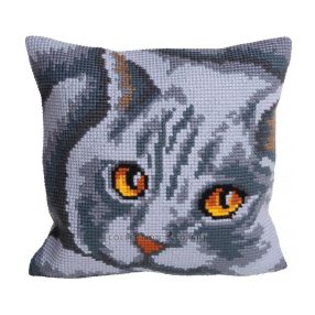 C5083 Cat 40x40 cm