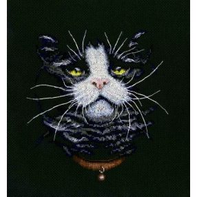 m576 Cats' favourite 20x21 cm