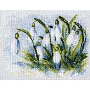 m585 Early snowdrops 25x19 cm