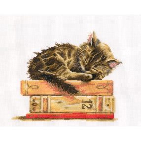 m642 Cat's dream 19,5x16,5 cm