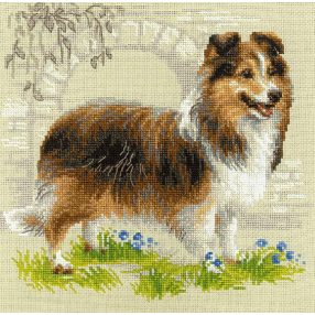 1710 Sheltie 25x25 cm