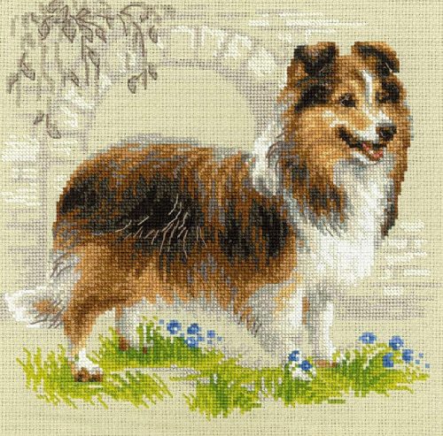 1710 Sheltie 25x25 cm