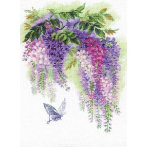 1672 Wisteria 30x40 cm