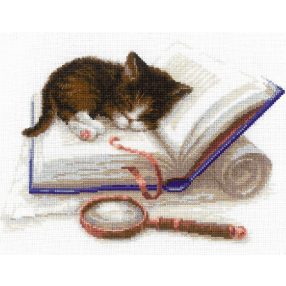 1725 Kitten on the Book 30x24 cm
