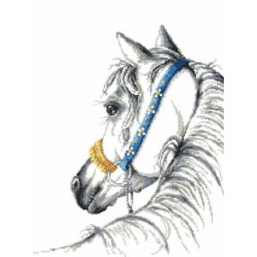 8750 Arabian horse 37x49 cm