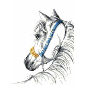 Z8750 Arabian horse 30x40 cm