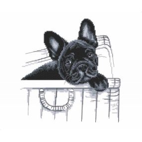 Z8767 French bulldog - Here I am 30x25 cm