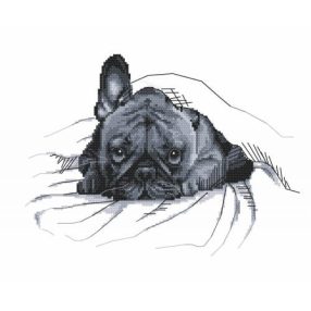 Z8768 French bulldog 30x25 cm