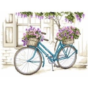 Z8773 Bicycle with surfinia 40x30 cm