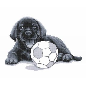 Z8770 Labrador - Play with me 30x25 cm
