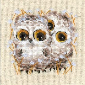 1755 Little Owls 13x13 cm