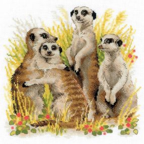 1761 Meerkats 25x25 cm