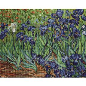 G444 Van Gogh - Íriszek 30x24 cm
