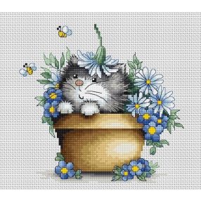 B1048 Cica kaspóban 16x15,5 cm