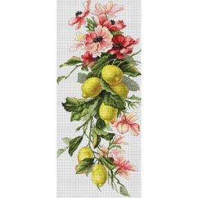 B210 Citromok 17x38 cm