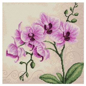B2227 Orchidea 23x22.5 cm