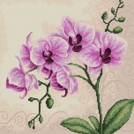 B2227 Orchidea 23x22.5 cm