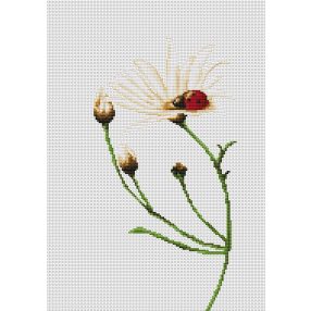 B2246 Katica 12,5x24,5 cm