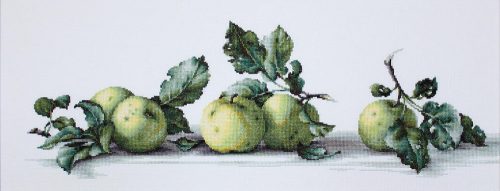 B2259 Still Life with apples 49x16,5 cm