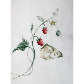 B2268 A nyár aromája 18x27 cm