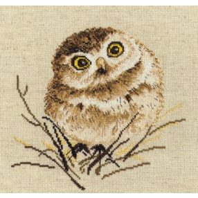S751 Owl 20x20 cm