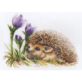 S885 Spring Awakening 25x19 cm (Kifutó)