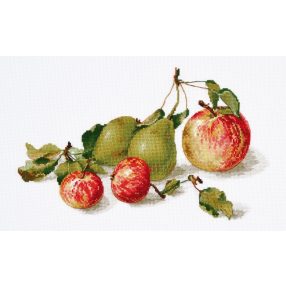 S924 Apples 27x17 cm