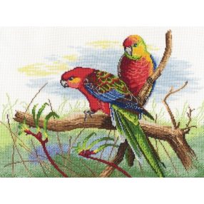 S509 Parrots 30x22 cm (Kifutó)